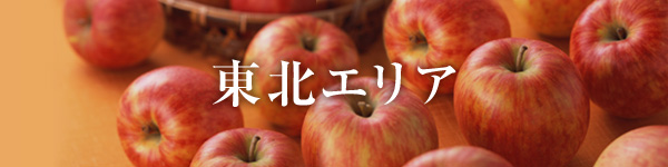 東北エリア
