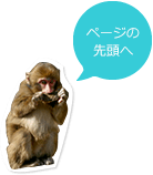 ページの先頭へ