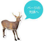 ページの先頭へ