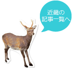 記事一覧へ