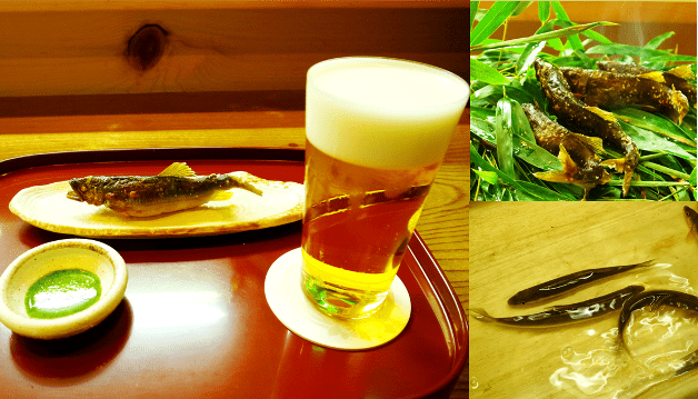 【富山の超達人店】「御料理　ふじ居」日本料理と極上プレモルで、季節の移ろいを感じて♪