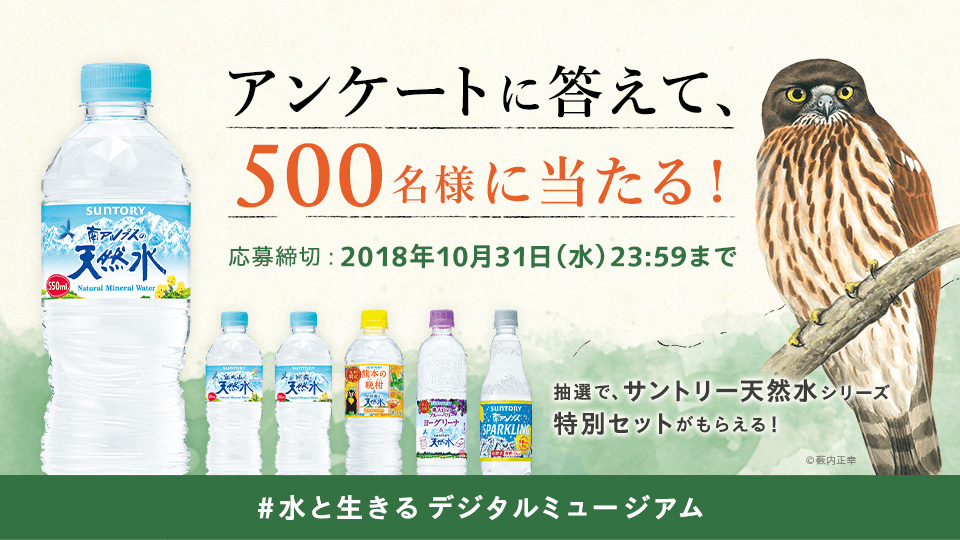 AP[gɓāA500lɓI ؁F2018N1031ij23F59܂ IŁATg[VRV[YʃZbg炦I ©MK #Ɛ fW^~[WA