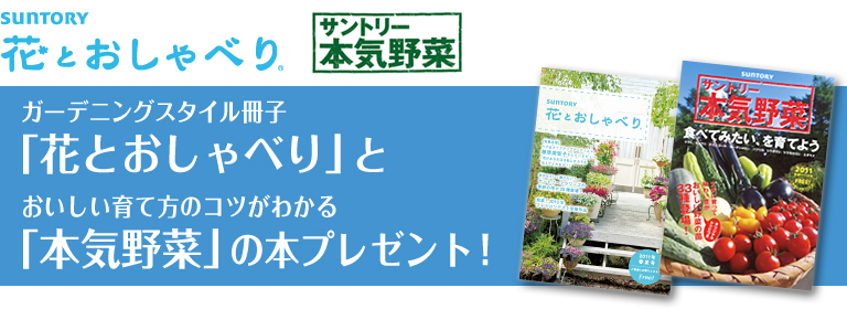 K[fjOX^CquԂƂׂvƁu{C؁vv[gI