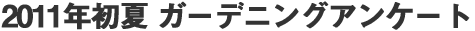 2011N K[fjOAP[g