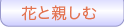 �ԂƐe����