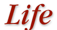 Life