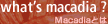 MacadiaƂ