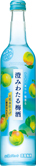 澄みわたる梅酒